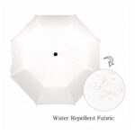 umbrella